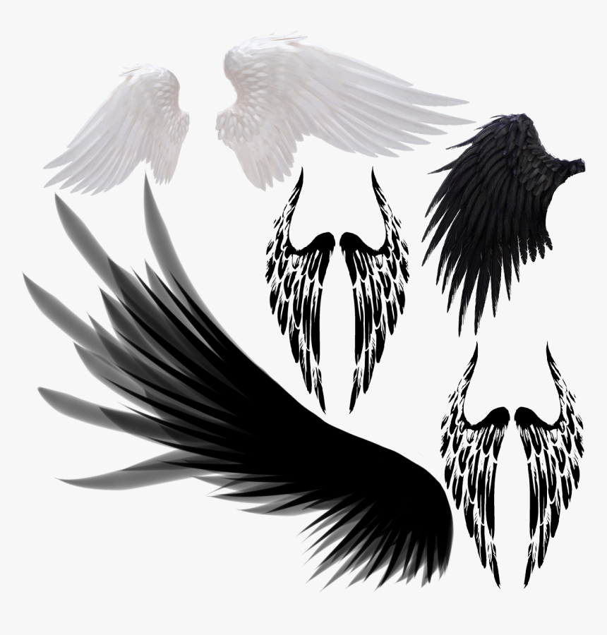 Transparent Devil Wings Png - Transparent Vector Wings Png, Png Download, Free Download