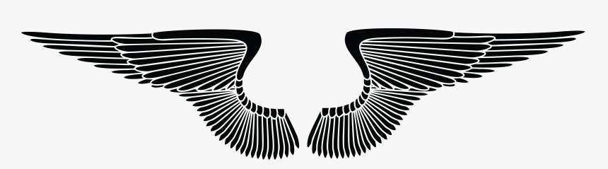 Transparent Wings Png - Pair Of Wings, Png Download, Free Download