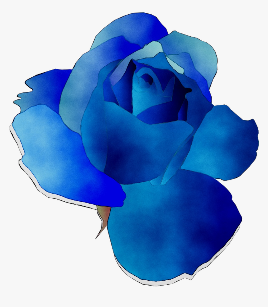 Blue Rose Garden Roses Cut Flowers - Rose, HD Png Download, Free Download