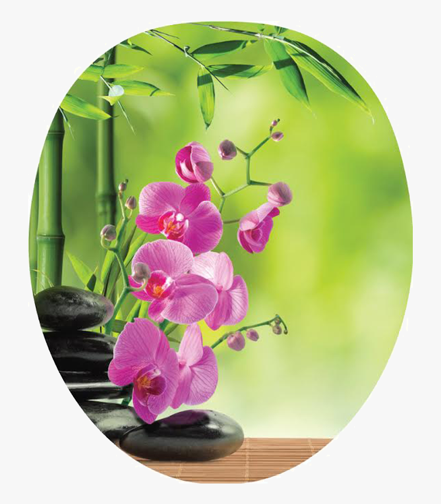 Pink Orchid Png , Png Download - Lavender Flower Orchid Black Stone And Bamboo, Transparent Png, Free Download