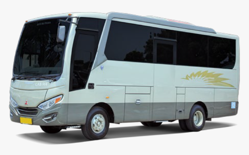 Transparent Big Bird Png - Tour Bus Service, Png Download, Free Download