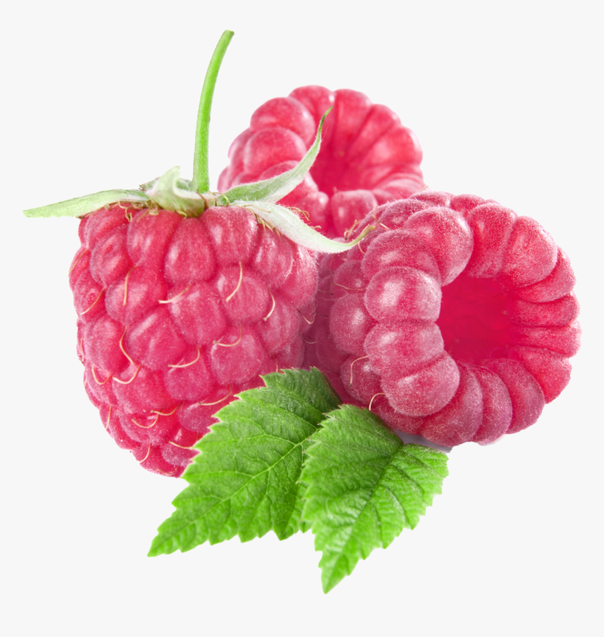 Fruit Clipart Raspberry - Raspberries Clipart, HD Png Download, Free Download