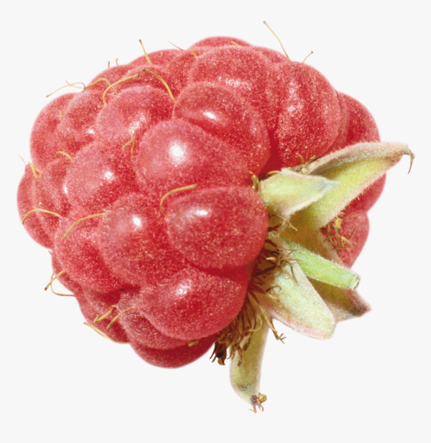 Raspberry Png Image - Portable Network Graphics, Transparent Png, Free Download