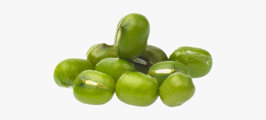 Mung Bean Png Hd Image - Green Mung Bean Png, Transparent Png, Free Download