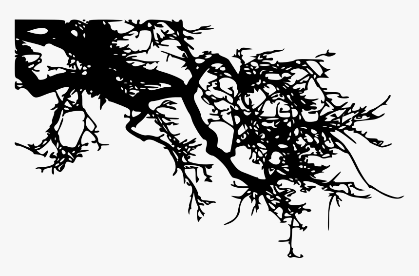 Tree Branch Silhouette Png Download - Visual Arts, Transparent Png, Free Download