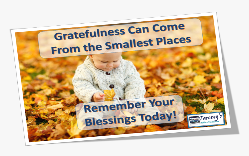#grateful - #thankful - #blog - #tammysoffices Blog - Autumn Play, HD Png Download, Free Download