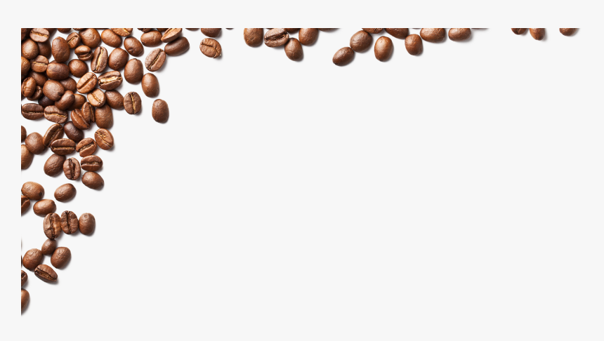Overlay-beans - Coffee Beans Line Png, Transparent Png, Free Download