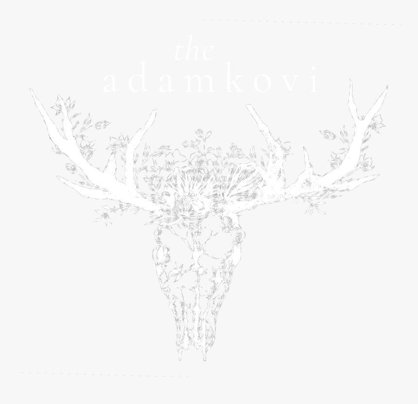 The Adamkovi The Adamkovi The Adamkovi - Antler, HD Png Download, Free Download