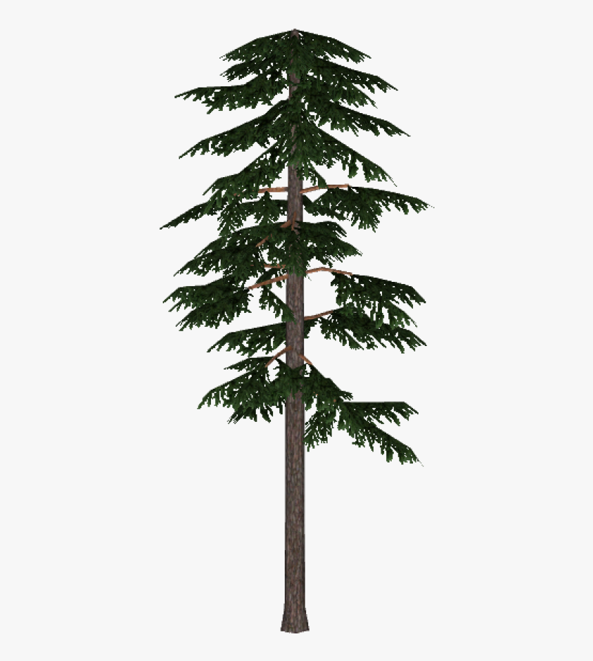 Tree Pine Silhouette Clip Art - Scots Pine Png, Transparent Png, Free Download