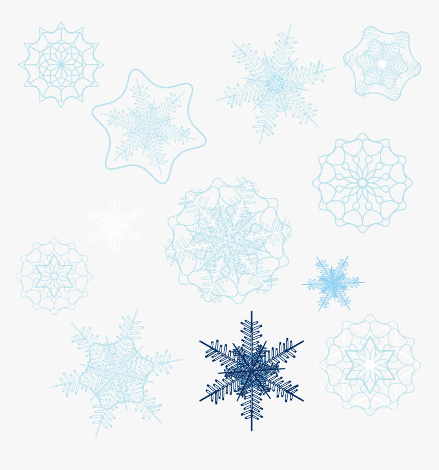 A Variety Of Snowflakes Png Download - Circle, Transparent Png, Free Download