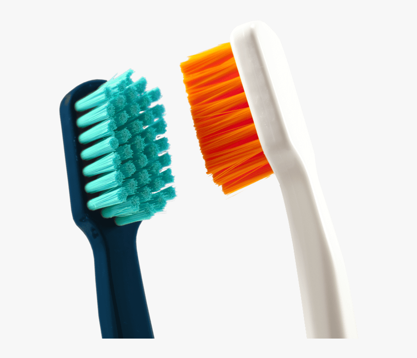 Facing Toothbrushes - Toothbrush, HD Png Download, Free Download