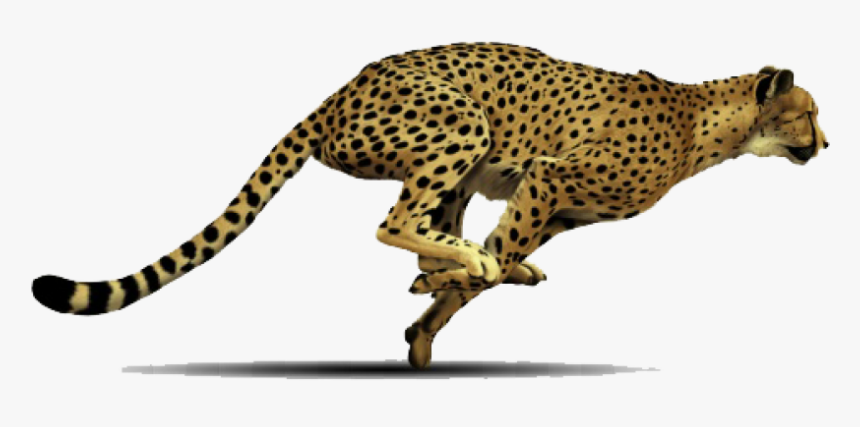 Leaping Leopard Png Image - Running Cheetah Transparent Background, Png Download, Free Download