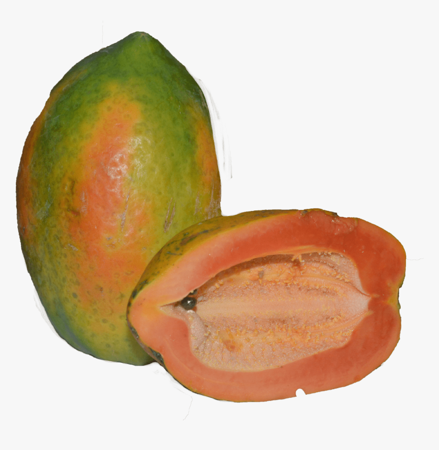 Papaya , Png Download - Papaya, Transparent Png, Free Download