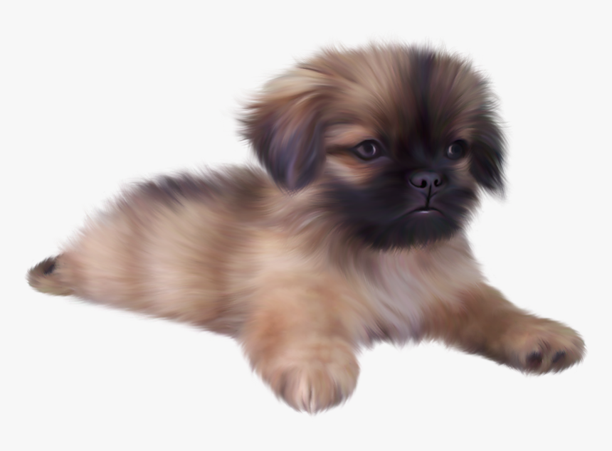 Cute Puppy Png - Cute Animals Transparent Background, Png Download, Free Download