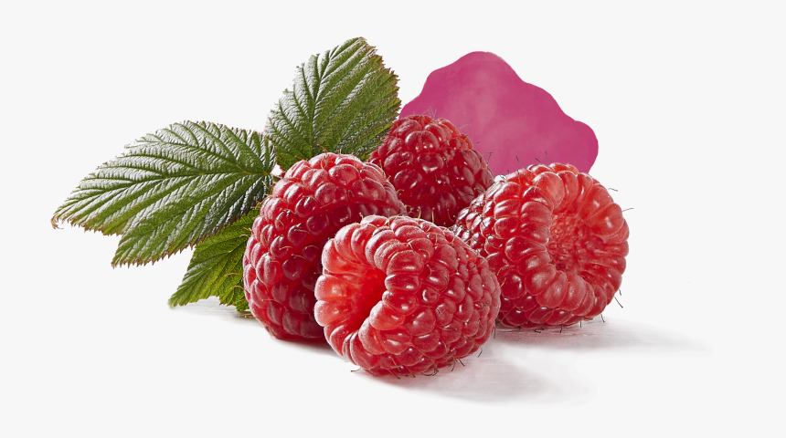 Raspberry, HD Png Download, Free Download