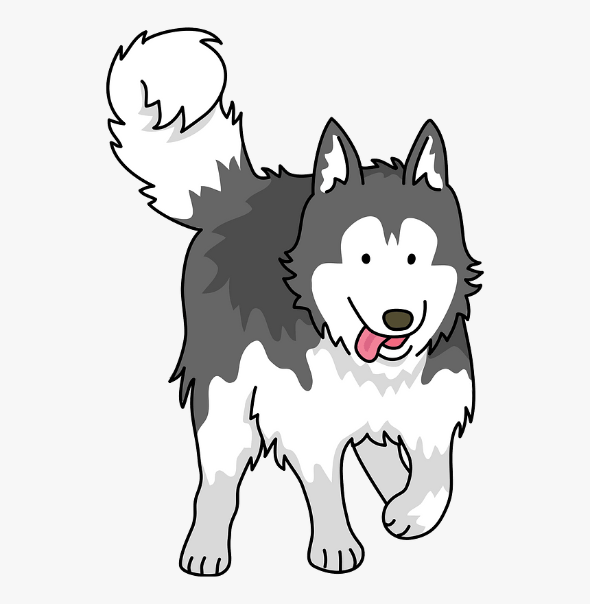 Siberian Husky Dog Clipart - Husky Dog Clipart Png, Transparent Png, Free Download