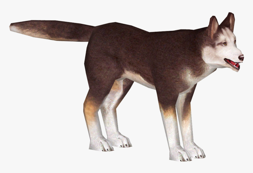 Husky Png, Transparent Png, Free Download