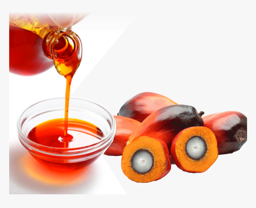 Palm Oil Png - Transparent Palm Oil Png, Png Download, Free Download
