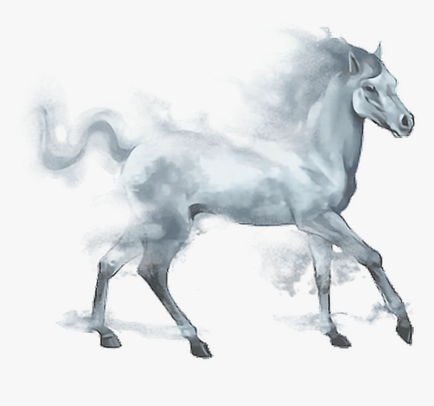 Horses Png , Png Download - Mist Horse, Transparent Png, Free Download