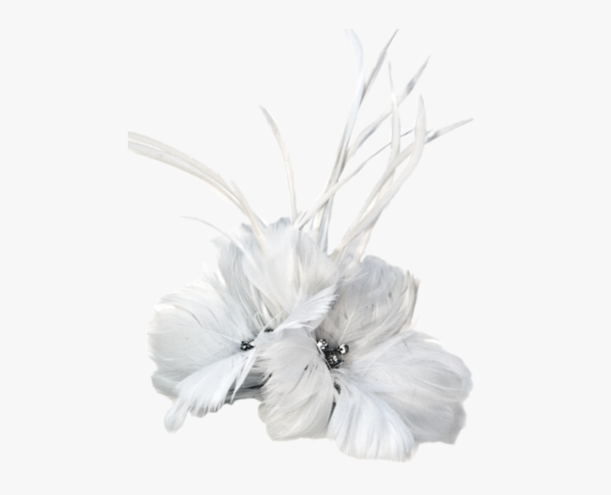 Feathers - Argentina Collection - White - Headpiece, HD Png Download, Free Download