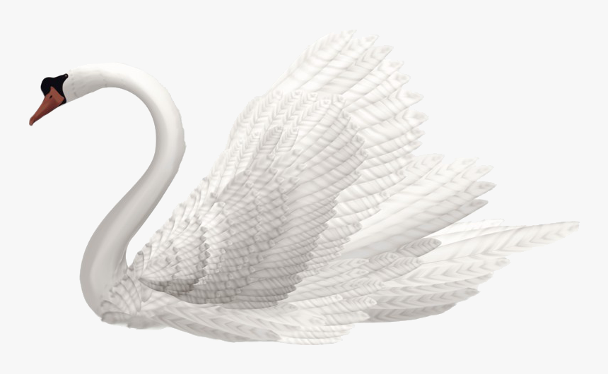 Swan Png Hd Quality - Swan, Transparent Png, Free Download