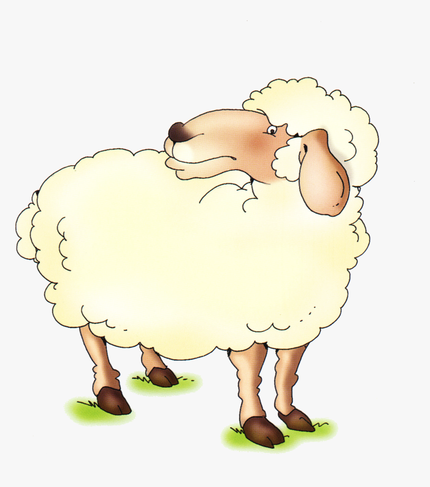Sheep, Transparent Png, Png Download, Free Download