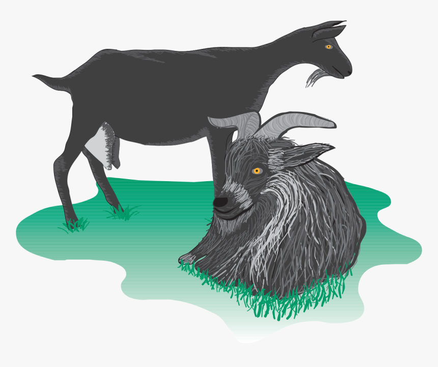 Feral Goat, HD Png Download, Free Download