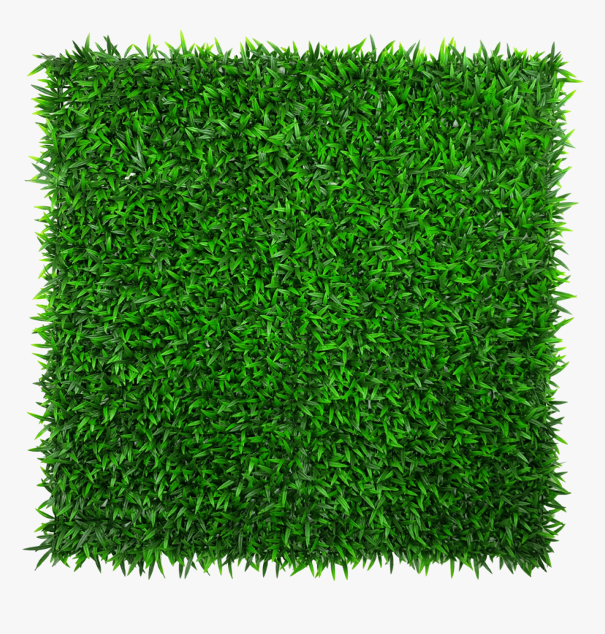 Hedge Wall, HD Png Download, Free Download