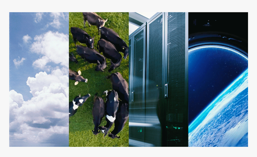 Placeholder Image - Grass, HD Png Download, Free Download