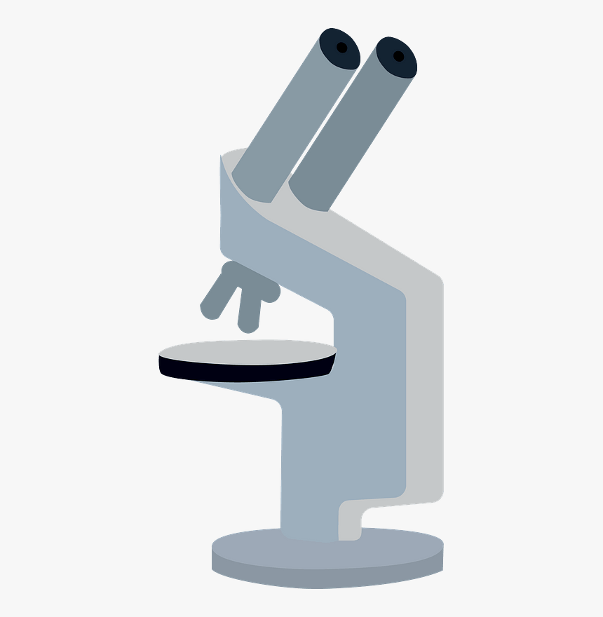 Microscope Clipart - Surfing, HD Png Download, Free Download