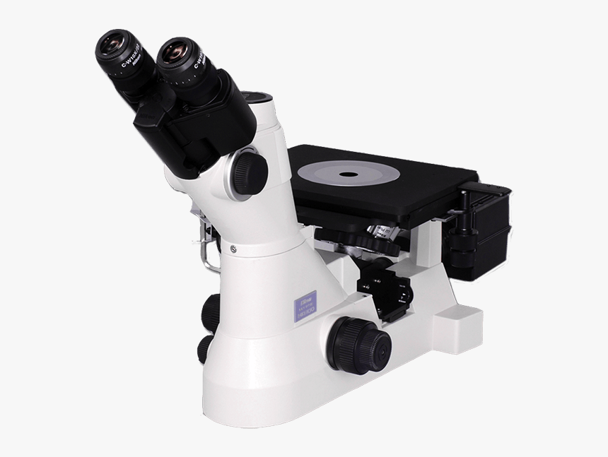 Digital Microscope Nikon 1000x, HD Png Download, Free Download