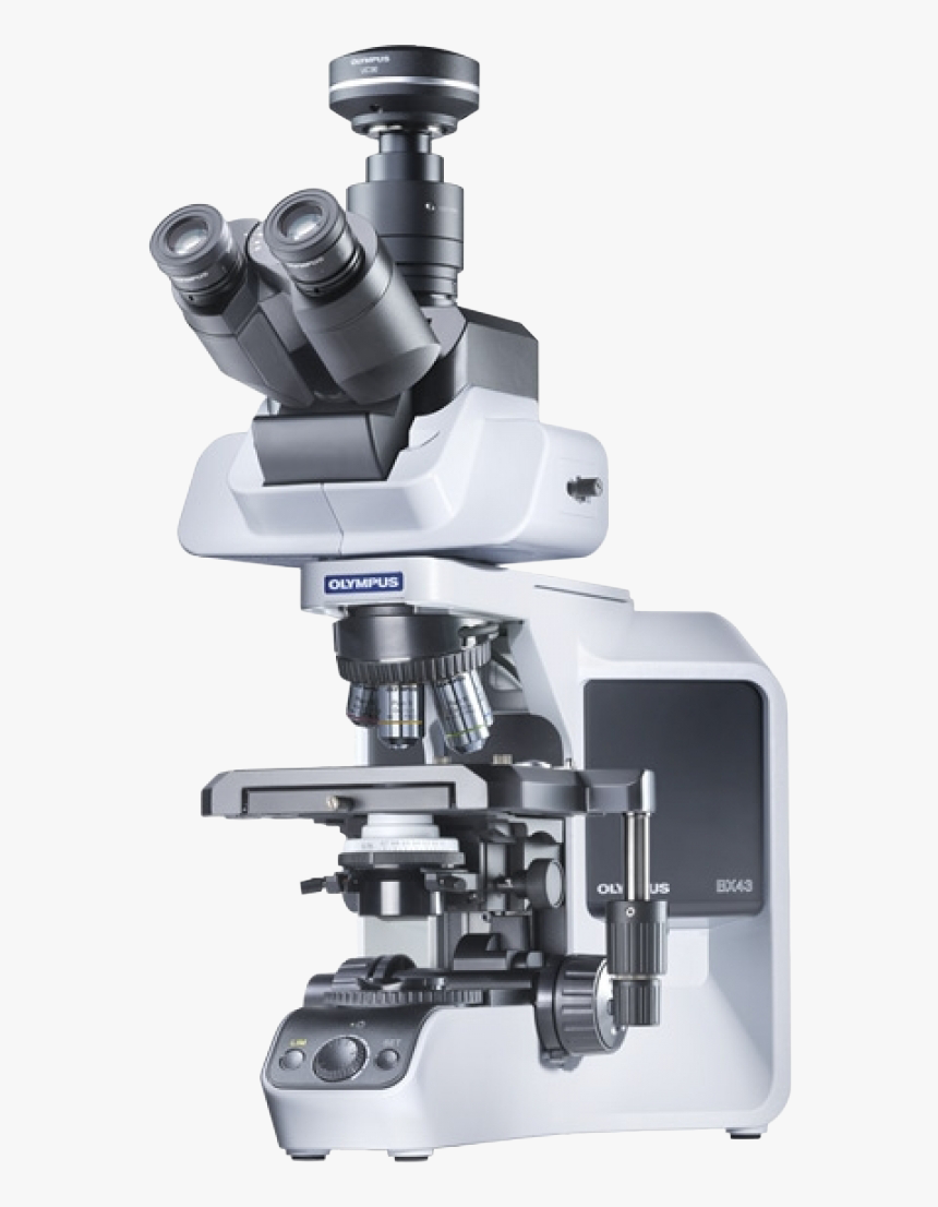 Olympus Bx43, HD Png Download, Free Download