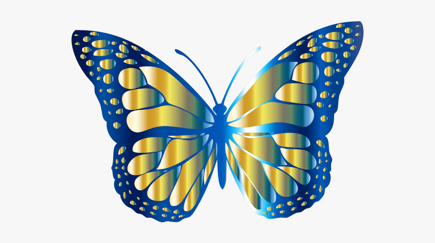 Monarch Butterfly 2 Variation - Butterfly Picture For Kids, HD Png Download, Free Download