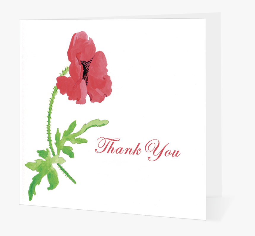 Poppy Thank You - Garden Roses, HD Png Download, Free Download