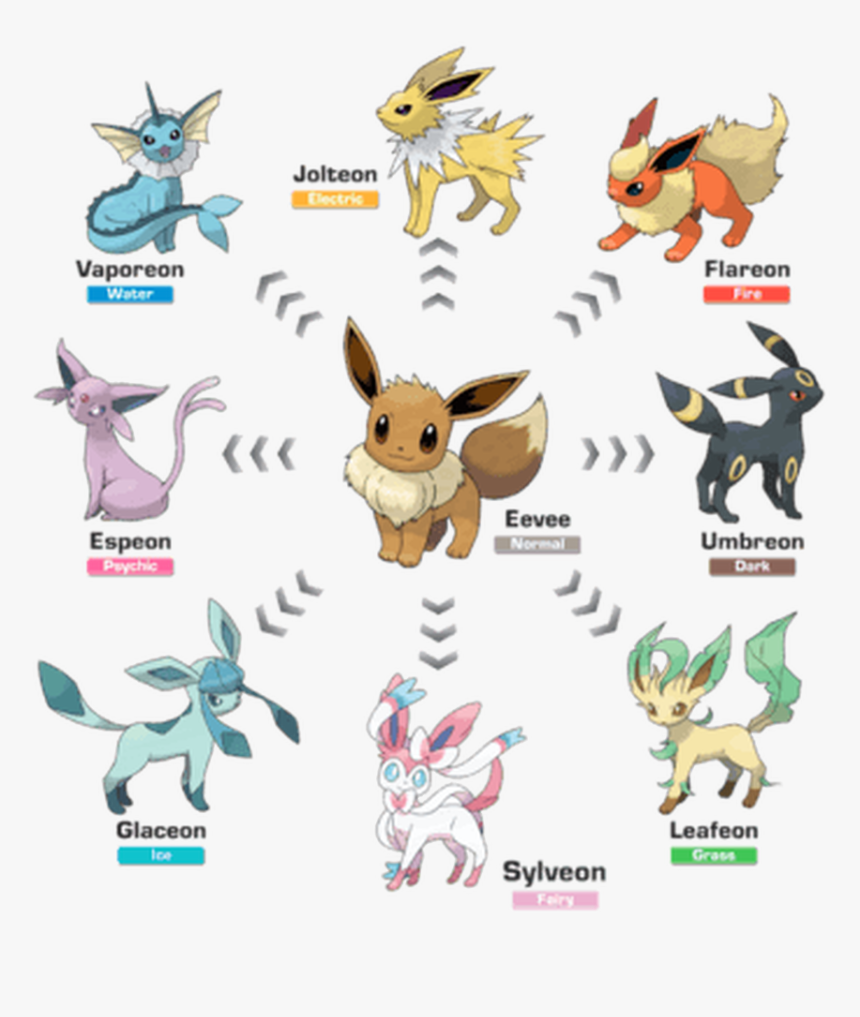 Picture - Every Eevee Evolution, HD Png Download, Free Download