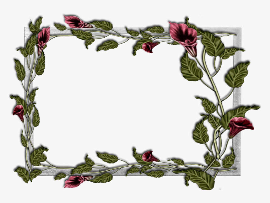 Frost Border Png Download , Png Download - Flower Frames, Transparent Png, Free Download