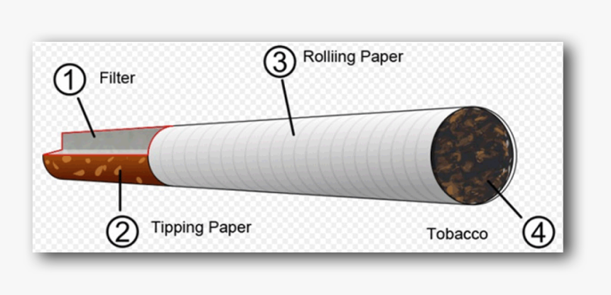 Cigarette 201403 Wma - Diagram Of A Cigarette, HD Png Download, Free Download