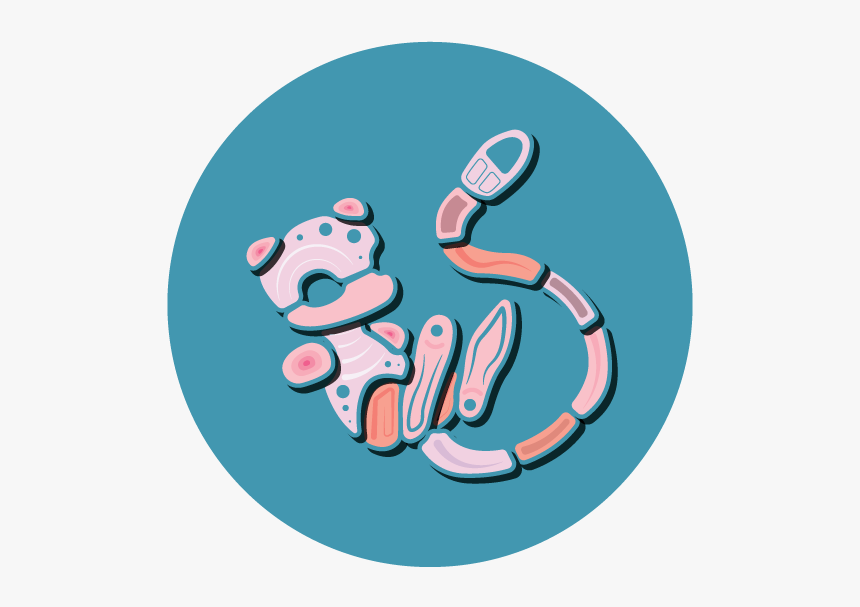 Mew, HD Png Download, Free Download