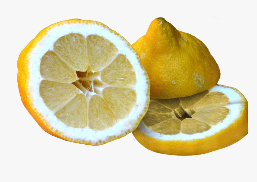 Orange, HD Png Download, Free Download