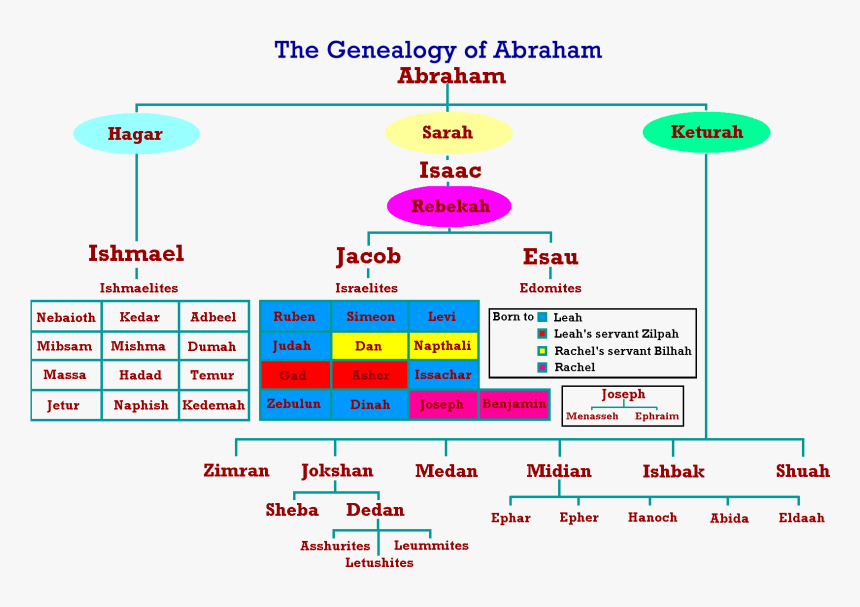 Thumb Image - Abraham Genealogy, HD Png Download, Free Download