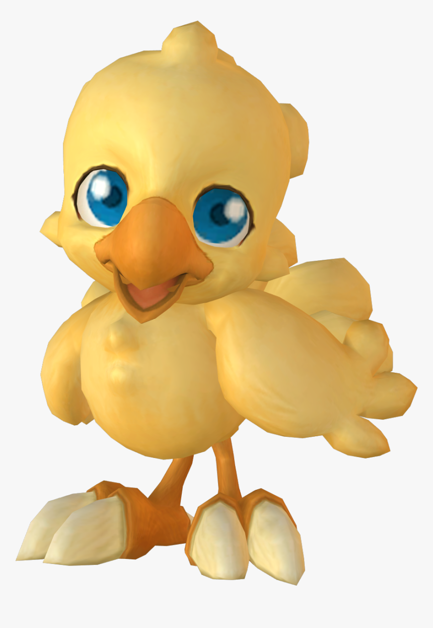 Duck, HD Png Download, Free Download