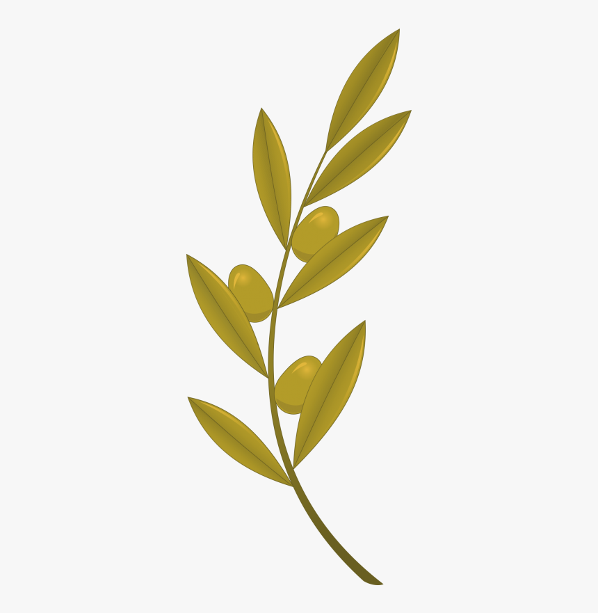 Olive Branch Royalty-free - Olive Branch Royalty Free Png, Transparent Png, Free Download