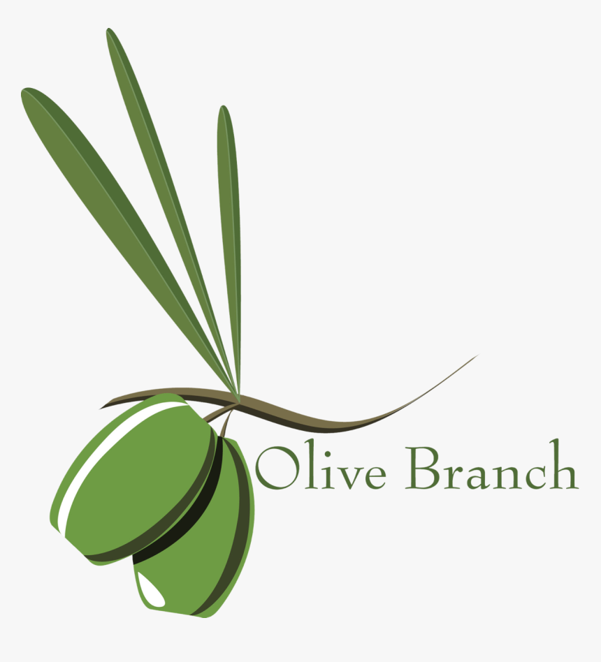 The Branch Environment Olijf Bomen Pinterest - Olive Branch, HD Png Download, Free Download