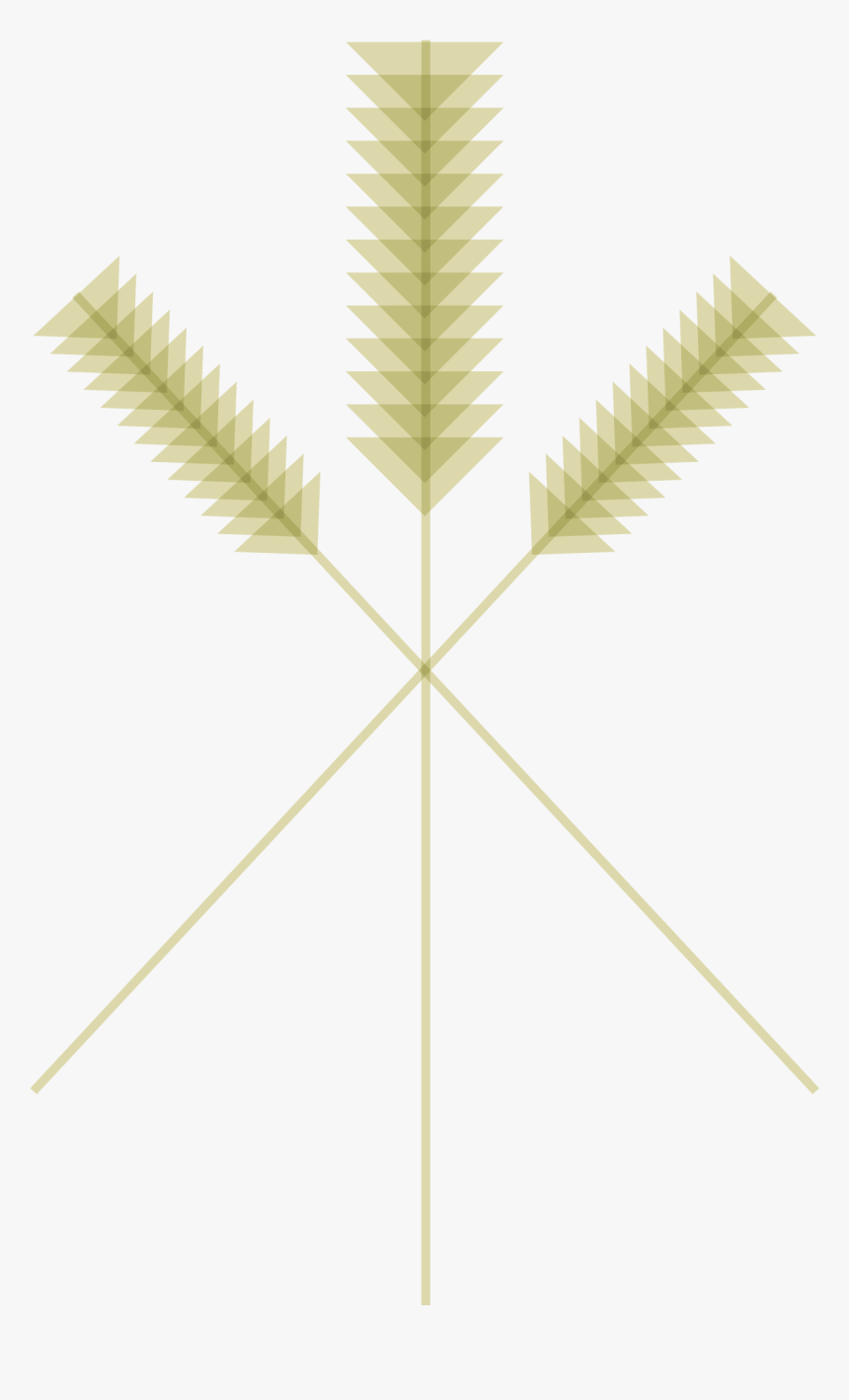 Hopsinsta5 - Tree, HD Png Download, Free Download