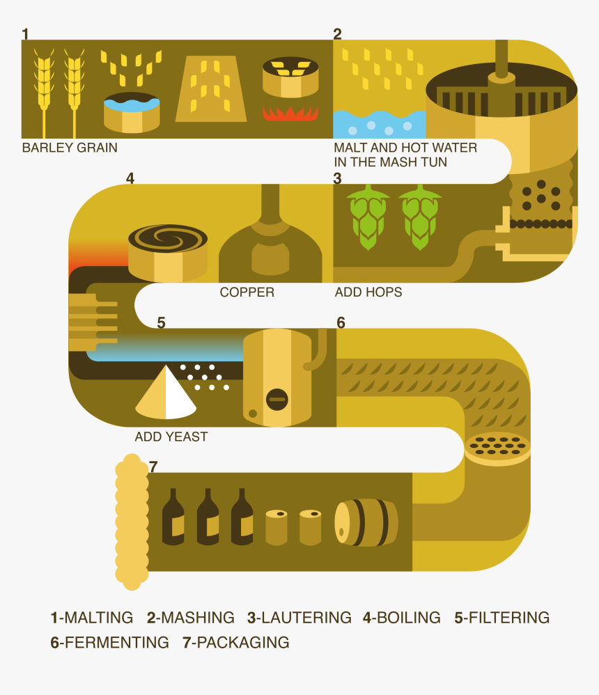 Hops Clipart Malt - Diagram Of Chocolate Production, HD Png Download, Free Download