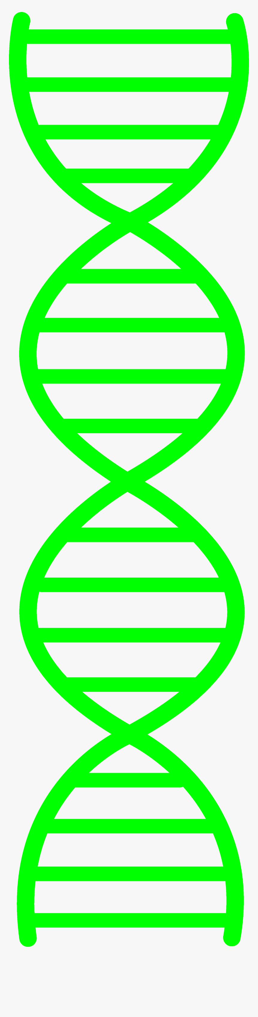Green Dna Design - Double Helix Black And White, HD Png Download, Free Download