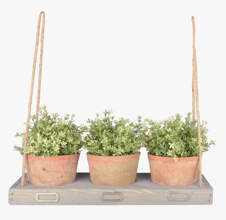 Hanging Shelf For 3 Pots - Półka Wisząca Na Kwiaty, HD Png Download, Free Download