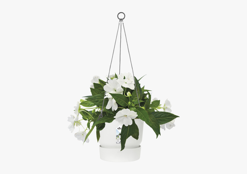 Elho Hanging Basket Greenville 24 Cm, Clinker Red, HD Png Download, Free Download