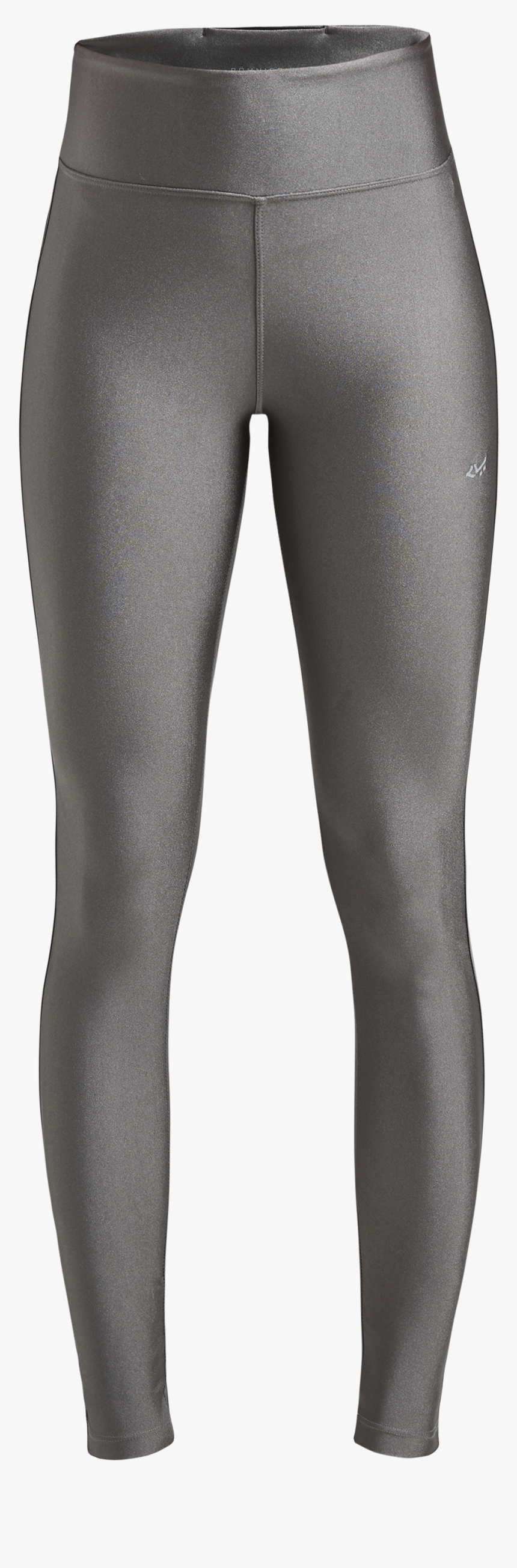 Shiny Tights, Dark Greige - Trousers, HD Png Download, Free Download