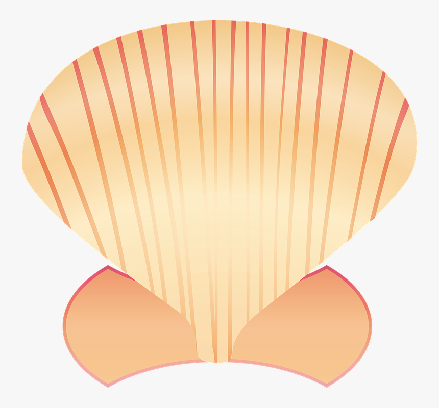 Lampshade, HD Png Download - kindpng